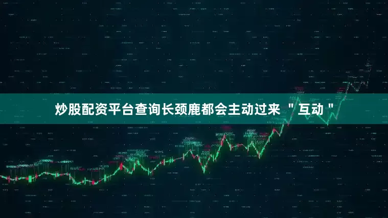炒股配资平台查询长颈鹿都会主动过来 ＂互动＂
