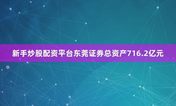新手炒股配资平台东莞证券总资产716.2亿元