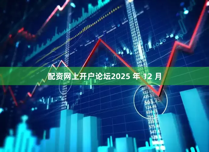 配资网上开户论坛2025 年 12 月