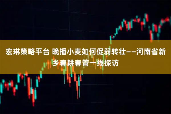 宏琳策略平台 晚播小麦如何促弱转壮——河南省新乡春耕春管一线探访