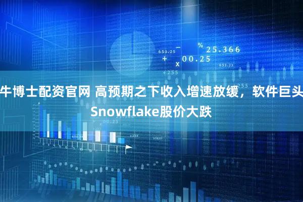 牛博士配资官网 高预期之下收入增速放缓,软件巨头Snowflake股价大跌